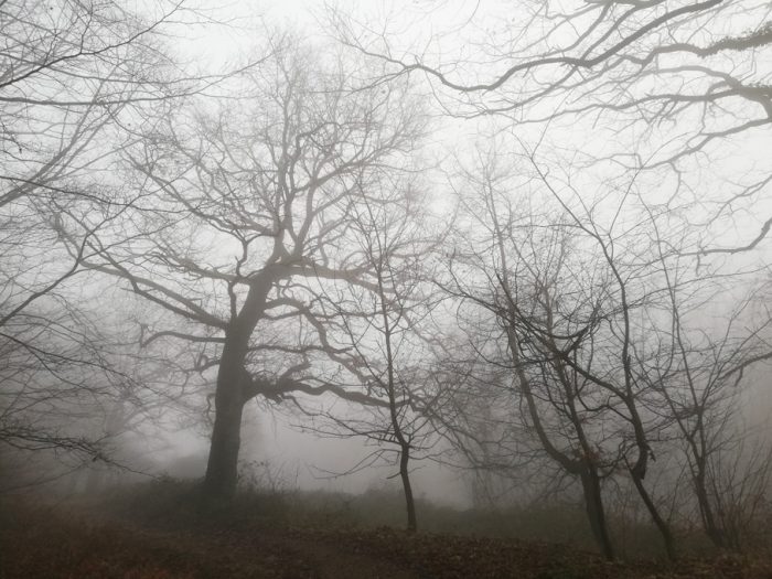 Dichter Nebel