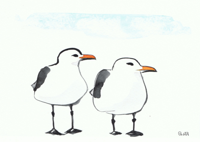 Funny Seagulls Watercolor