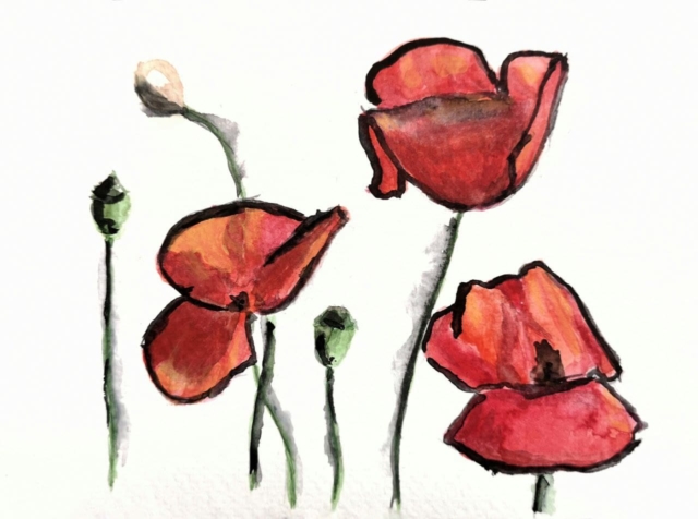 Rough Poppies Watercolor