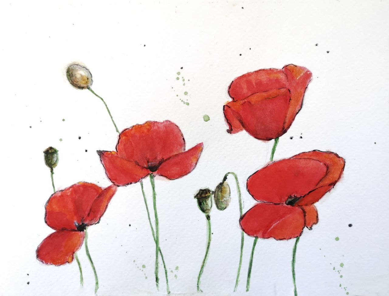 Poppies Watercolor